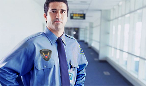 VSF Group Security Guards Services in Mumbai, Website in India
